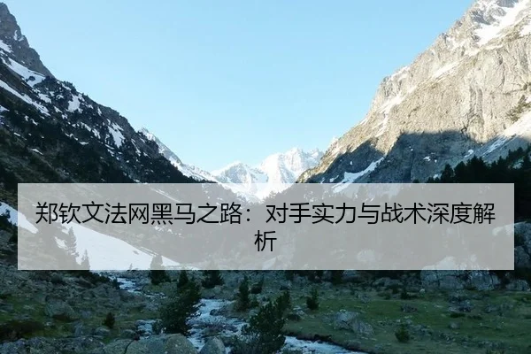 zheng-qin-wen-fa-wang-hei-ma-zhi-lu-dui-shou-shi-li-yu-zhan-shu-shen-du-jie-xi-3-816.jpg