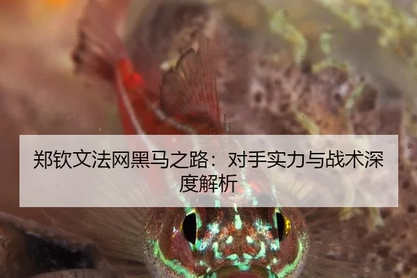 郑钦文法网黑马之路：对手实力与战术深度解析