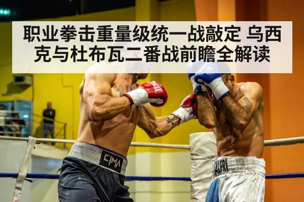职业拳击重量级统一战敲定 乌西克与杜布瓦二番战前瞻全解读