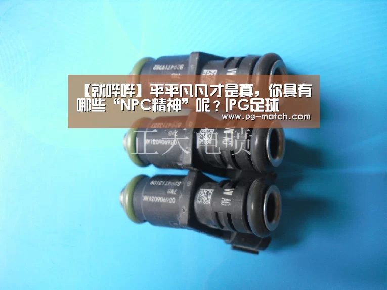 【就哔哔】平平凡凡才是真，你具有哪些“NPC精神”呢？|PG足球